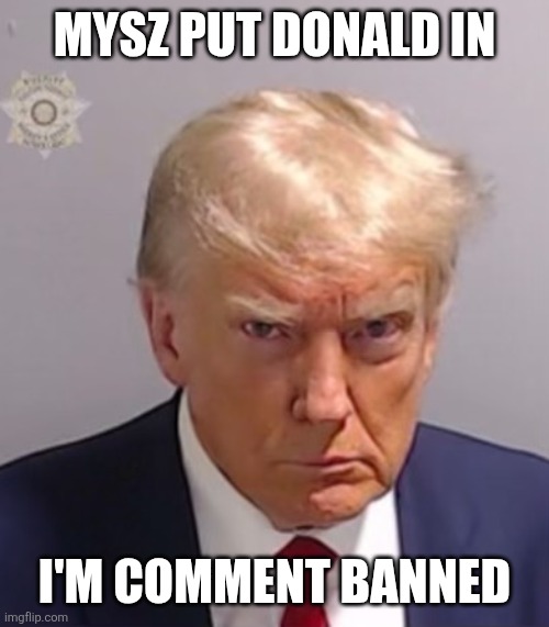 Donald Trump Mugshot | MYSZ PUT DONALD IN; I'M COMMENT BANNED | image tagged in donald trump mugshot | made w/ Imgflip meme maker