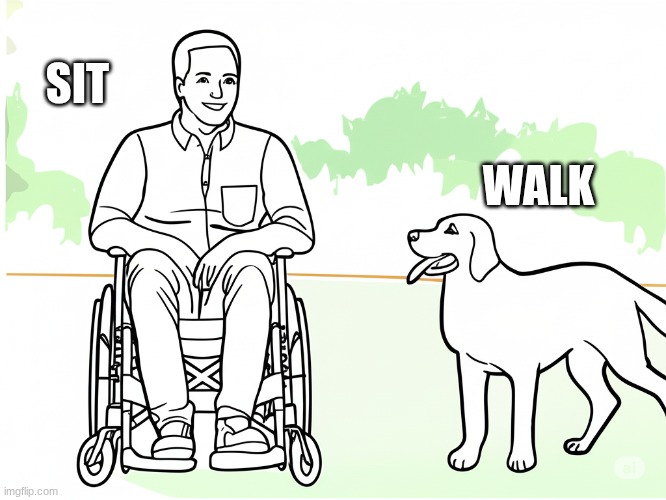 SIT; WALK | image tagged in pain | made w/ Imgflip meme maker