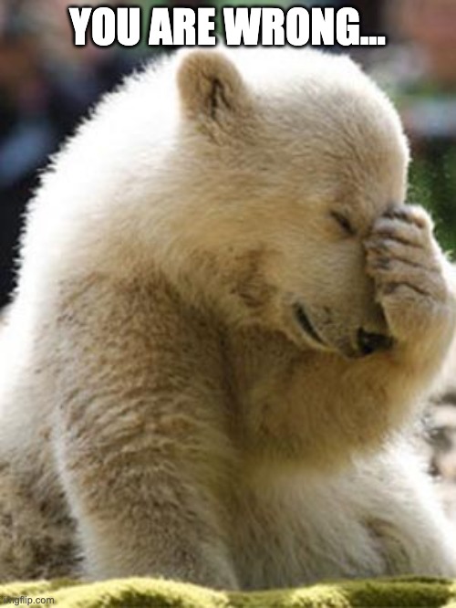 Facepalm Bear Meme | YOU ARE WRONG... | image tagged in memes,facepalm bear | made w/ Imgflip meme maker