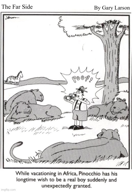 By Gary Larson; The Far Side | image tagged in comics,the far side,pinocchio,safari,lions | made w/ Imgflip meme maker