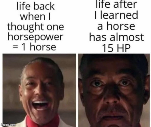 1 horse is 15 hors | made w/ Imgflip meme maker