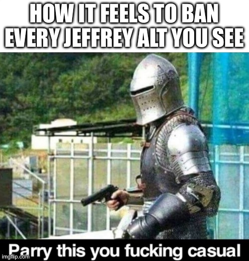 Fuck Jeffrey | HOW IT FEELS TO BAN EVERY JEFFREY ALT YOU SEE | image tagged in parry this,jeffrey,destroy pedos,i hate them,fuck jeffrey,ban | made w/ Imgflip meme maker