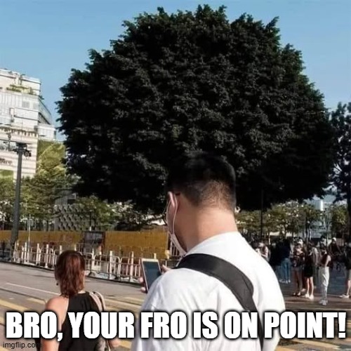 Big Fro | BRO, YOUR FRO IS ON POINT! | image tagged in funny,meme | made w/ Imgflip meme maker