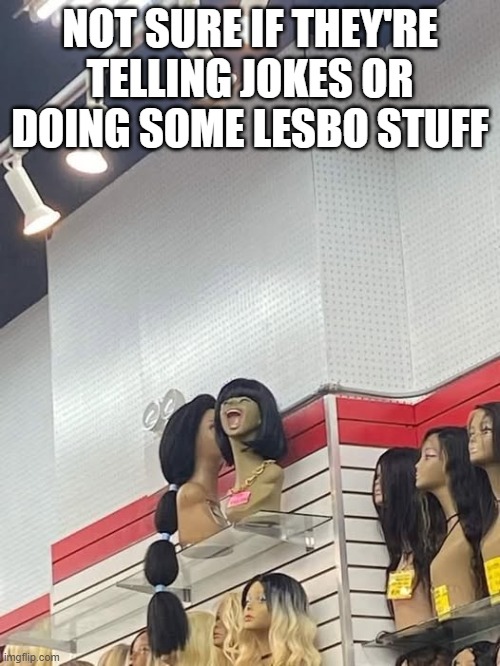 Oh Ladies? | NOT SURE IF THEY'RE TELLING JOKES OR DOING SOME LESBO STUFF | image tagged in sex jokes | made w/ Imgflip meme maker