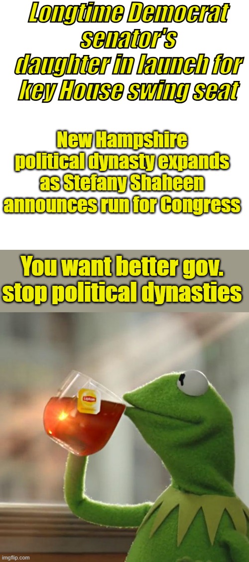 The DINGEL PLAN ,you make um royality. | Longtime Democrat senator's daughter in launch for key House swing seat; New Hampshire political dynasty expands as Stefany Shaheen announces run for Congress; You want better gov. stop political dynasties | image tagged in memes,blank transparent square,but that's none of my business | made w/ Imgflip meme maker