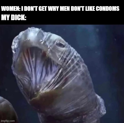No Condoms | WOMEN: I DON'T GET WHY MEN DON'T LIKE CONDOMS; MY DICK: | image tagged in sex jokes | made w/ Imgflip meme maker