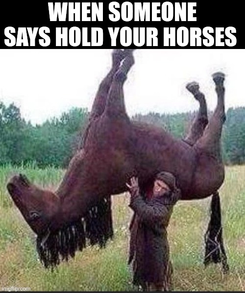 When Someone Says Hold Your Horses | WHEN SOMEONE SAYS HOLD YOUR HORSES | made w/ Imgflip meme maker