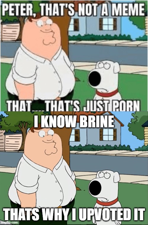 I KNOW BRINE; THATS WHY I UPVOTED IT | image tagged in peter that s not a meme | made w/ Imgflip meme maker