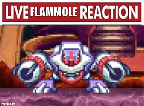 LIVE FLAMMOLE REACTION | image tagged in shitpost | made w/ Imgflip meme maker