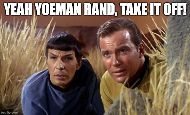 Peeping Toms | YEAH YOEMAN RAND, TAKE IT OFF! | image tagged in mr spock | made w/ Imgflip meme maker