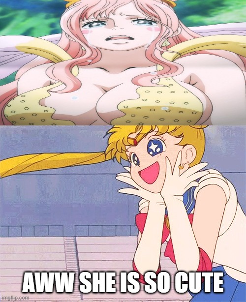 sailor moon and the giant mermaid | AWW SHE IS SO CUTE | image tagged in sailor moon starry eyes,cute,one piece,mermaid,crossover memes,adorable | made w/ Imgflip meme maker