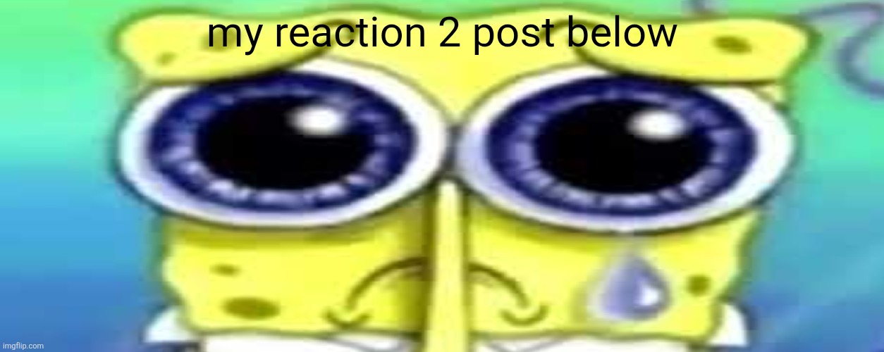 bruh | my reaction 2 post below | image tagged in sad spong | made w/ Imgflip meme maker