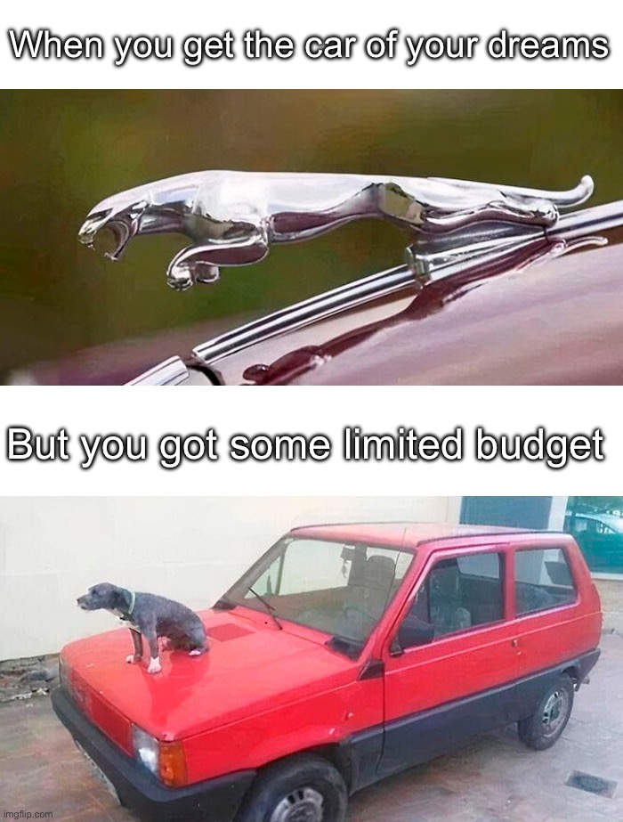 8771 | When you get the car of your dreams; But you got some limited budget | image tagged in white blank,cars,dogs,budget | made w/ Imgflip meme maker