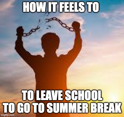 IM FREE | HOW IT FEELS TO; TO LEAVE SCHOOL TO GO TO SUMMER BREAK | image tagged in im free,funny,memes,school,summer,summer vacation | made w/ Imgflip meme maker
