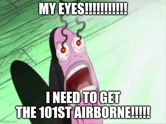 MY EYES!!!!!!!!!!! I NEED TO GET THE 101ST AIRBORNE!!!!! | image tagged in my eyes | made w/ Imgflip meme maker