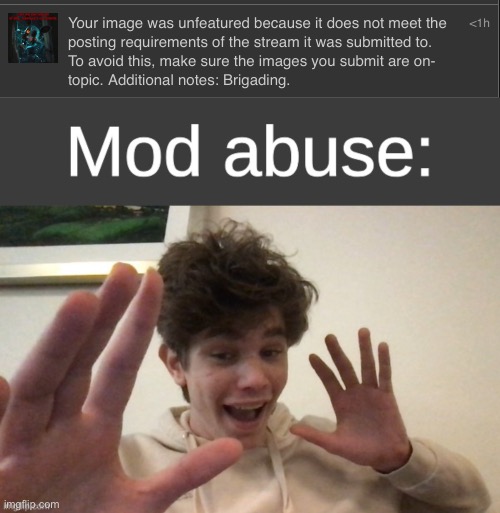 image tagged in riplos mod abuse | made w/ Imgflip meme maker