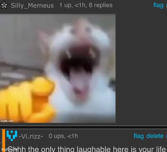 made w/ Imgflip meme maker