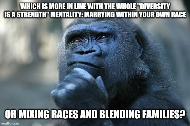 This should be interesting... | WHICH IS MORE IN LINE WITH THE WHOLE "DIVERSITY IS A STRENGTH" MENTALITY: MARRYING WITHIN YOUR OWN RACE; OR MIXING RACES AND BLENDING FAMILIES? | image tagged in deep thoughts | made w/ Imgflip meme maker