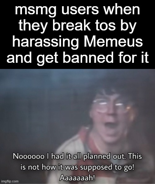 Nooooo, I had it all planned out. | msmg users when they break tos by harassing Memeus and get banned for it | image tagged in nooooo i had it all planned out | made w/ Imgflip meme maker