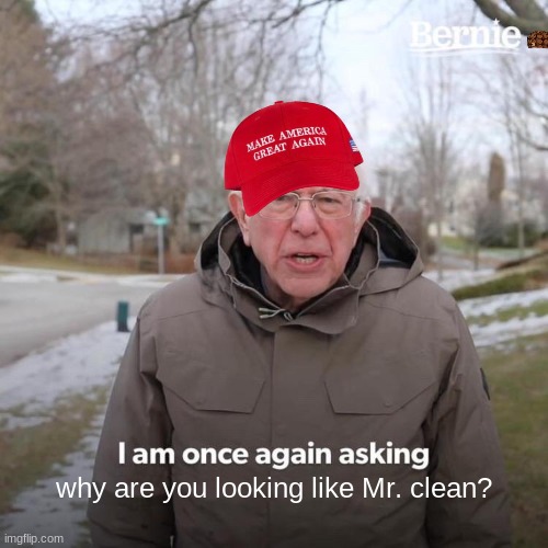 Bernie I Am Once Again Asking For Your Support | why are you looking like Mr. clean? | image tagged in memes,bernie i am once again asking for your support | made w/ Imgflip meme maker
