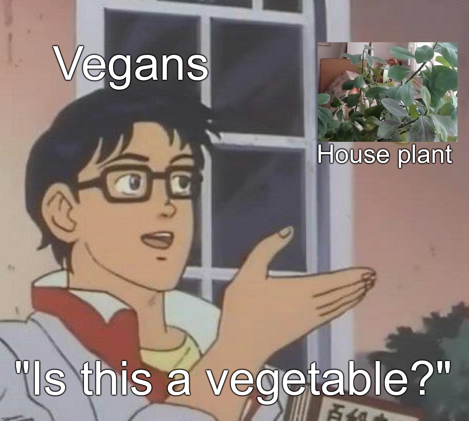 54538 | Vegans; House plant; "Is this a vegetable?" | image tagged in memes,is this a pigeon,vegan | made w/ Imgflip meme maker