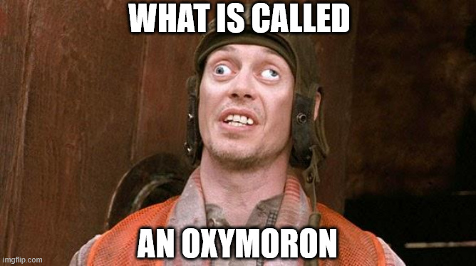 Steve Buscemi | WHAT IS CALLED AN OXYMORON | image tagged in steve buscemi | made w/ Imgflip meme maker