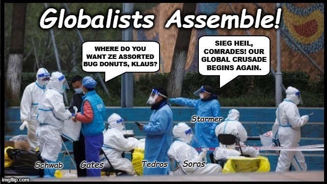 COVID 2025 | Globalists Assemble! Starmer; Soros; Tedros; Gates; Schwab | made w/ Imgflip meme maker