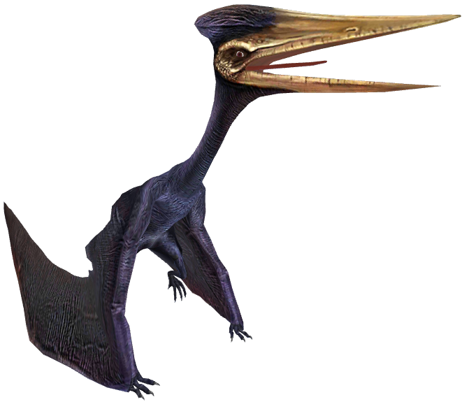 Zhejiangopterus (JWTG Design) Blank Meme Template