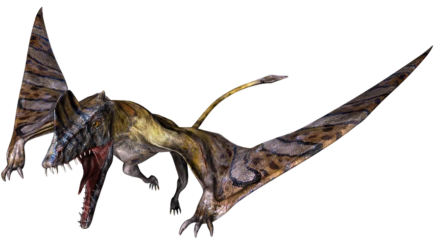 Scaphognathus (JWA Design) Blank Meme Template