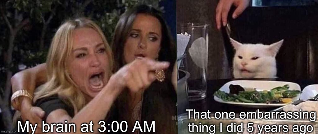 85693 | My brain at 3:00 AM; That one embarrassing thing I did 5 years ago | image tagged in woman yelling at cat,3 am | made w/ Imgflip meme maker