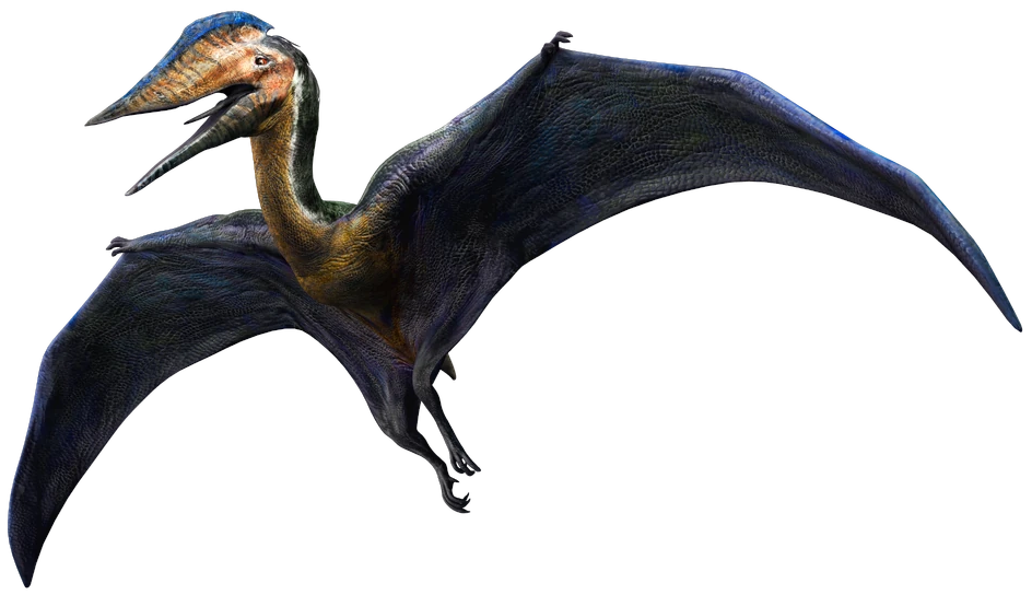 Hatzegopteryx 2 (JWA Design) Blank Meme Template