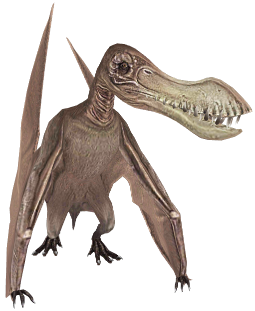 Coloborhynchus (JWTG Design) Blank Meme Template