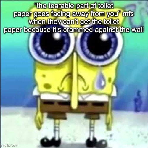 Sad Spongebob | “the tearable part of toilet paper goes facing away from you” mfs when they can’t get the toilet paper because it’s crammed against the wall | image tagged in sad spongebob | made w/ Imgflip meme maker