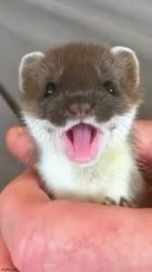 happy critter | made w/ Imgflip meme maker