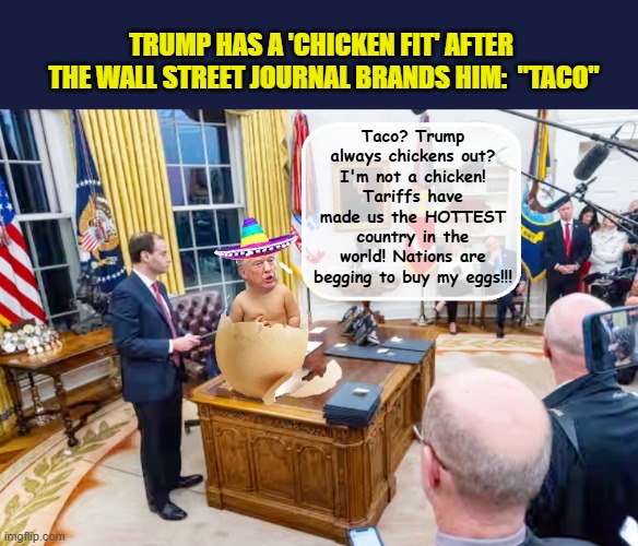 THE KING OF TACO | TRUMP HAS A 'CHICKEN FIT' AFTER  THE WALL STREET JOURNAL BRANDS HIM:  "TACO"; Taco? Trump always chickens out? I'm not a chicken! Tariffs have made us the HOTTEST country in the world! Nations are begging to buy my eggs!!! | image tagged in impeach trump,donald trump memes,government corruption,trump is a moron,taco | made w/ Imgflip meme maker