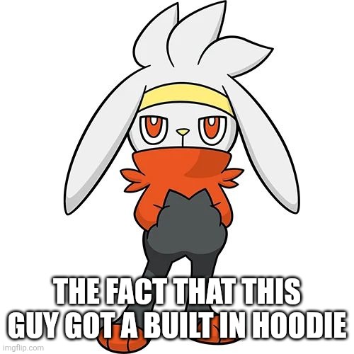THE FACT THAT THIS GUY GOT A BUILT IN HOODIE | made w/ Imgflip meme maker