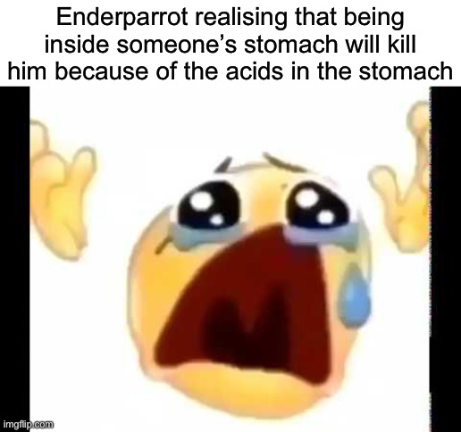 cursed crying emoji | Enderparrot realising that being inside someone’s stomach will kill him because of the acids in the stomach | image tagged in cursed crying emoji,msmg | made w/ Imgflip meme maker