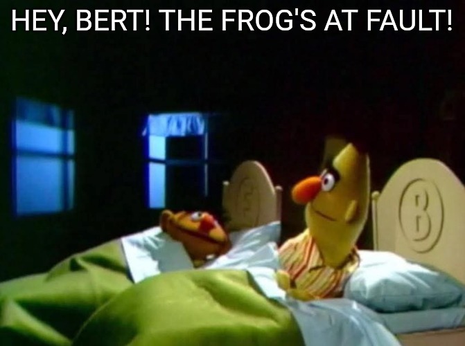 Burt and ernie talking in bed | HEY, BERT! THE FROG'S AT FAULT! | image tagged in burt and ernie talking in bed | made w/ Imgflip meme maker