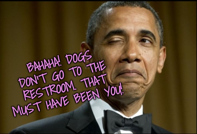 Obama winking | BAHAHA! DOGS DON'T GO TO THE RESTROOM. THAT MUST HAVE BEEN YOU! | image tagged in obama winking | made w/ Imgflip meme maker