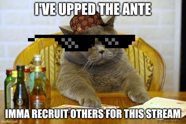 Gambling Sad Cat | I'VE UPPED THE ANTE; IMMA RECRUIT OTHERS FOR THIS STREAM | image tagged in gambling sad cat | made w/ Imgflip meme maker