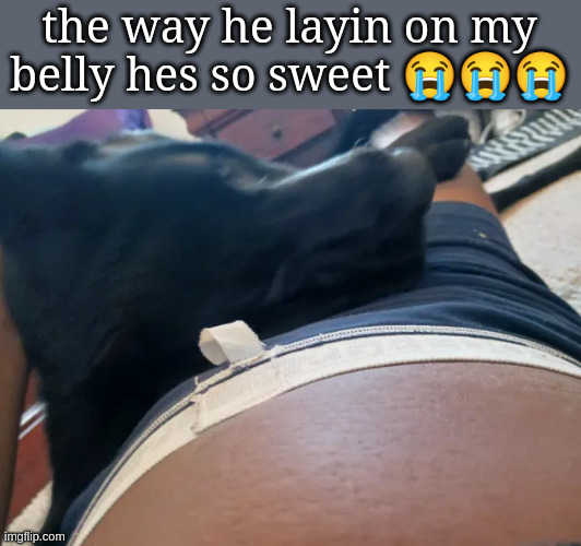 yes my pants were on incorrectly but who gaf | the way he layin on my belly hes so sweet 😭😭😭 | made w/ Imgflip meme maker