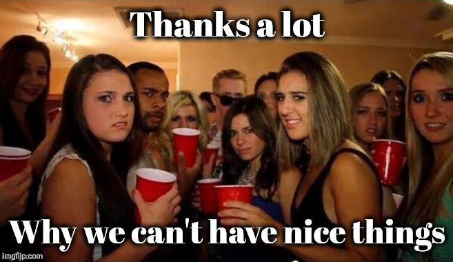 That's disgusting | Thanks a lot Why we can't have nice things | image tagged in that's disgusting | made w/ Imgflip meme maker