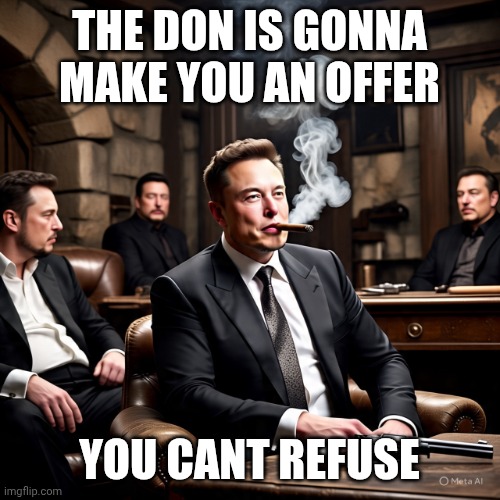 Don Musk | THE DON IS GONNA MAKE YOU AN OFFER; YOU CANT REFUSE | image tagged in don musk | made w/ Imgflip meme maker