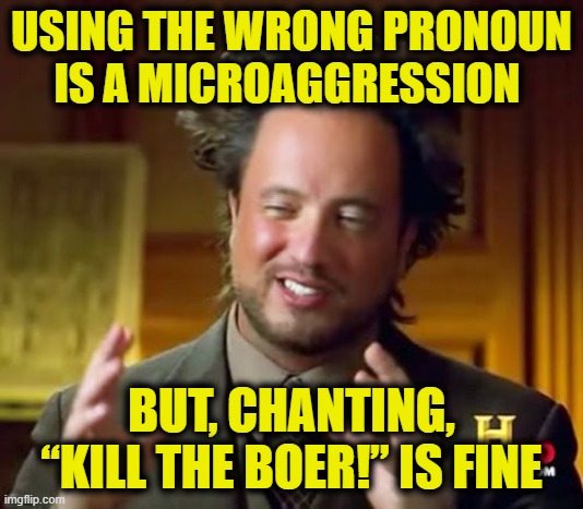 More Leftist Logic | USING THE WRONG PRONOUN
IS A MICROAGGRESSION; BUT, CHANTING, “KILL THE BOER!” IS FINE | image tagged in leftists | made w/ Imgflip meme maker