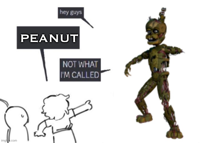 Hey Guys - NOT WHAT I'M CALLED | PEANUT | image tagged in hey guys - not what i'm called | made w/ Imgflip meme maker