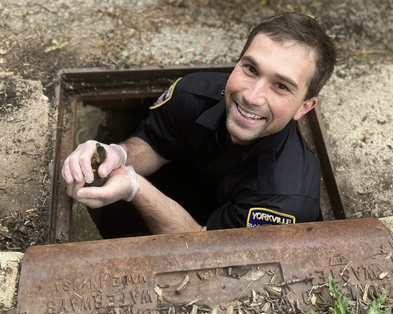 Duck Blank Meme Template