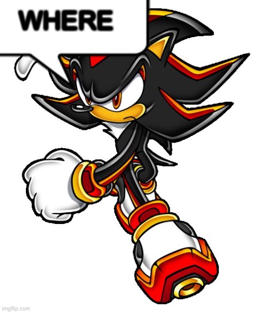 Shadow the hedgehog | WHERE | image tagged in shadow the hedgehog | made w/ Imgflip meme maker