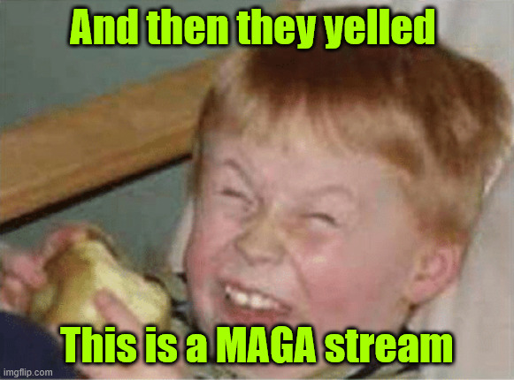 It's hard to be a paid for Trump hater | And then they yelled; This is a MAGA stream | image tagged in libs,whining | made w/ Imgflip meme maker
