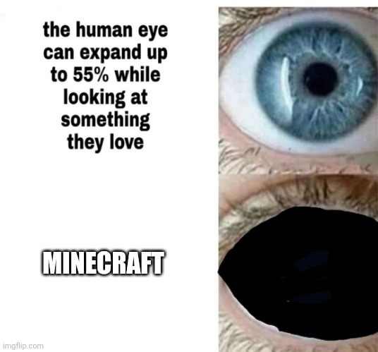 Minecraft is the best | MINECRAFT | image tagged in human eye,minecraft | made w/ Imgflip meme maker