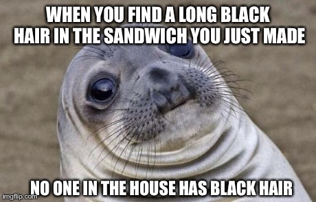 Awkward Moment Sealion | WHEN YOU FIND A LONG BLACK HAIR IN THE SANDWICH YOU JUST MADE NO ONE IN THE HOUSE HAS BLACK HAIR | image tagged in memes,awkward moment sealion | made w/ Imgflip meme maker